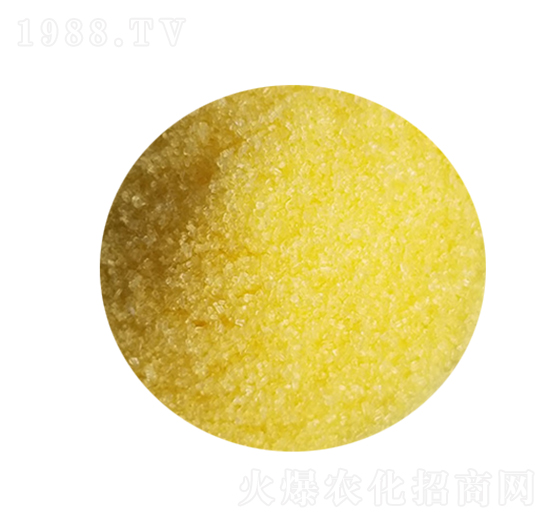 �_ʩ��-���Wɭ