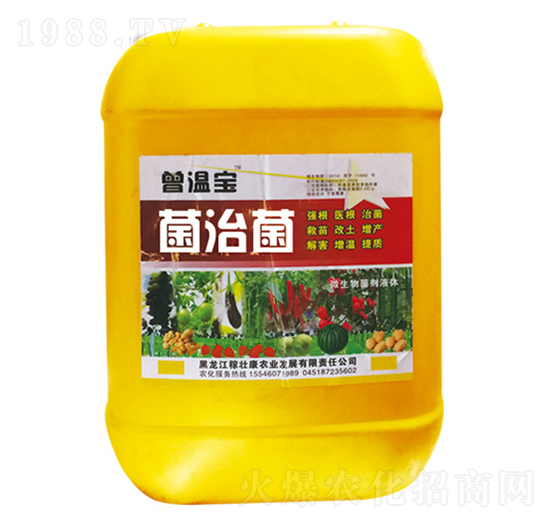 ���ξ���EM����-���،�-����