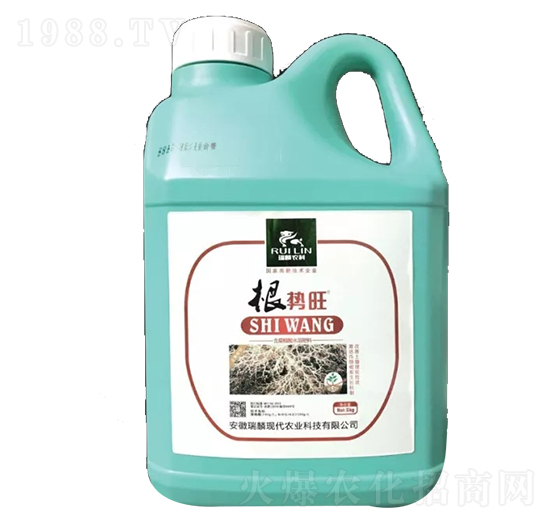 ������-����