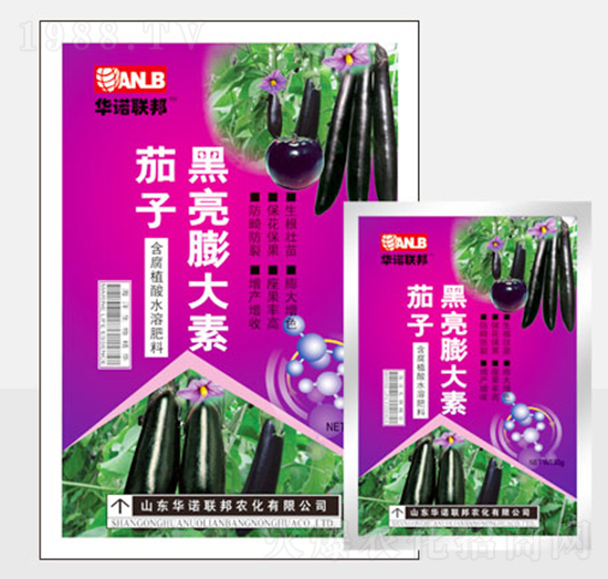 ���Ӻ��������-�A�Z��