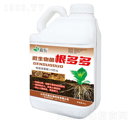 ΢����������-ؐ������