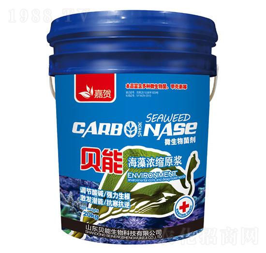 �����sԭ�{-ؐ������