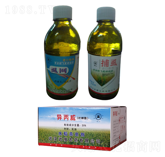 20%���������~�sɢ�� ��¡