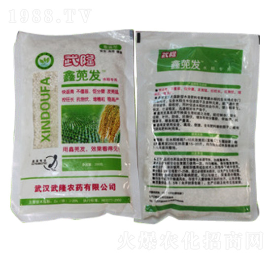 ���{�l(f��) ��¡