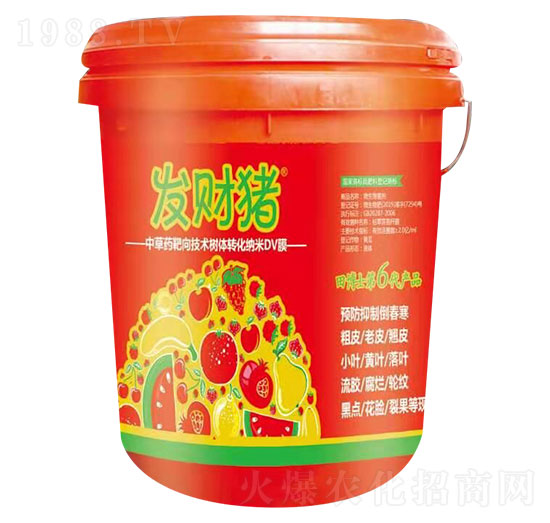 �в�ˎ�����g���w�D��DVĤ �l(f��)ؔ�i �ﲩʿ