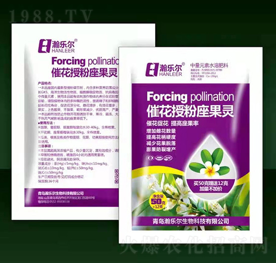 �߻��ڷ������`-嫘���