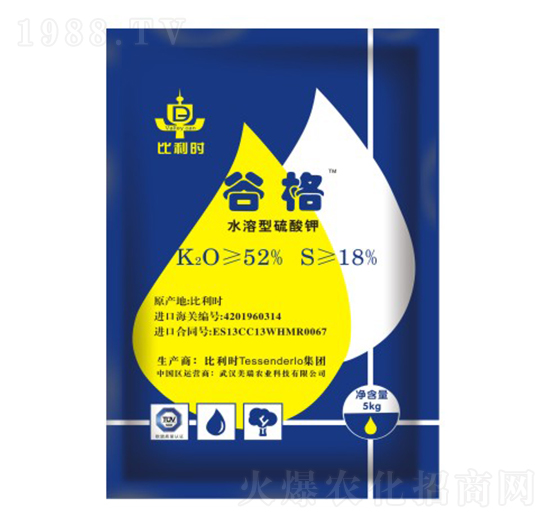 �����r�M(j��n)�������-�ȸ�-�����r(n��ng)�I(y��)