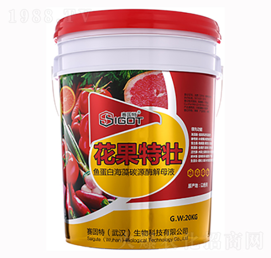 �����؉�-ِ����