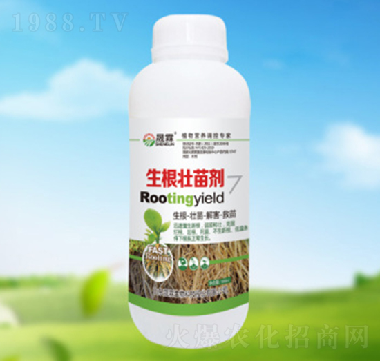 �������焩-��������