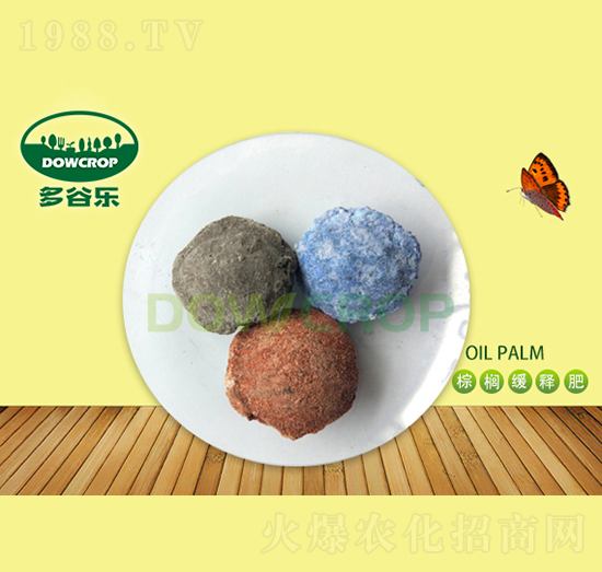 ���ؾ�ጷ�-��Ș�(l��)