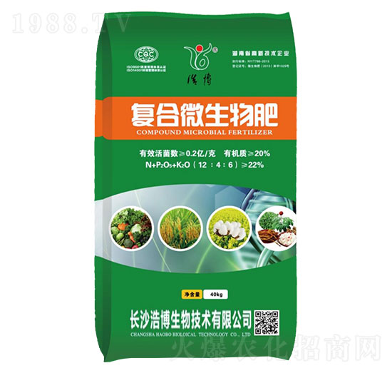 �ͺ�΢�����12-4-6-�Ʋ�����