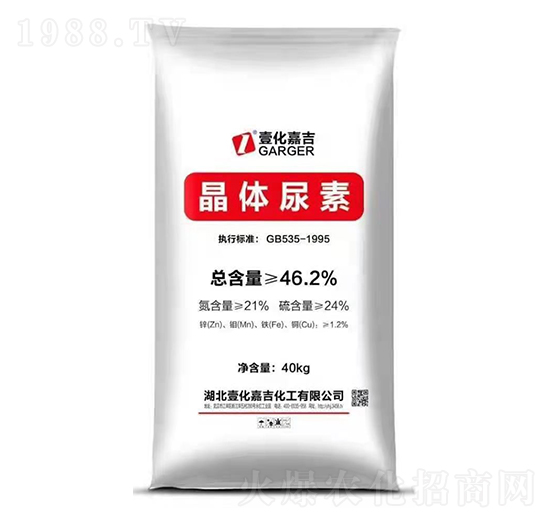 ���w����-Ҽ���μ�