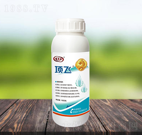 �w����(zhu��n)����Ч��-�(xi��ng)�w-������