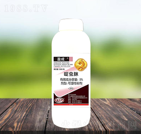 5%��x��-ӯ��-������