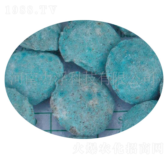 �ؙ������ؘ��-�����Ƽ�