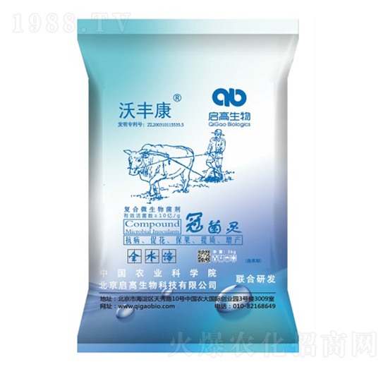 ��(f��)��΢�������-�ھ��`-���S��-��������