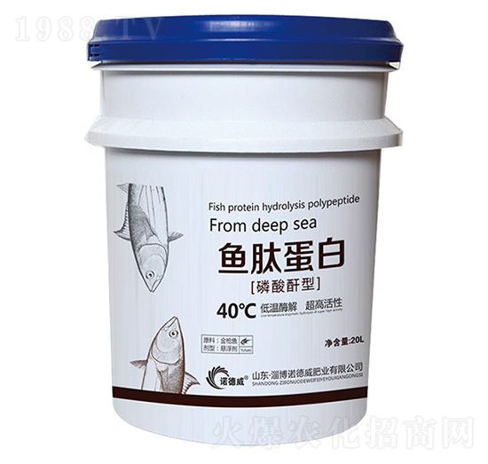 �~�ĵ���-�Z����