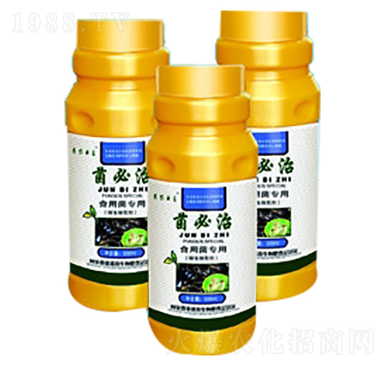 ʳ�þ�����-������-���_