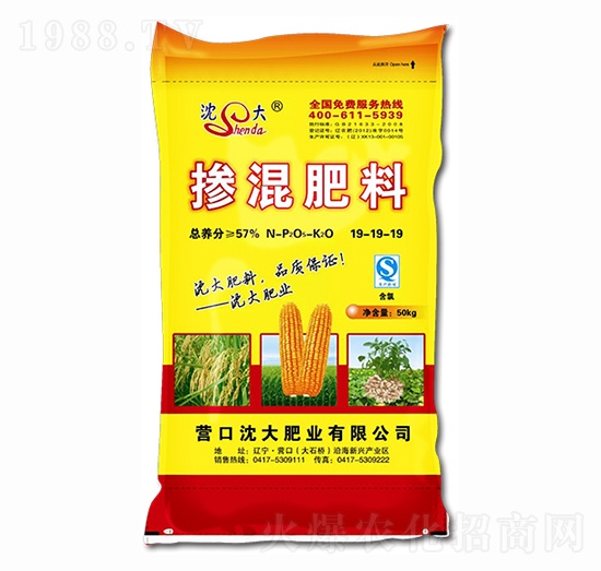 �������19-19-19-���