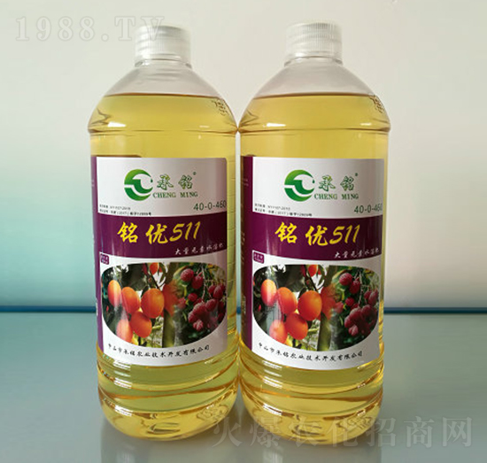 㑃�(y��u)511-����r�I(y��)