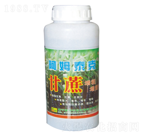 ��������������-��ķ̩��-��ķ�r(n��ng)�I(y��)