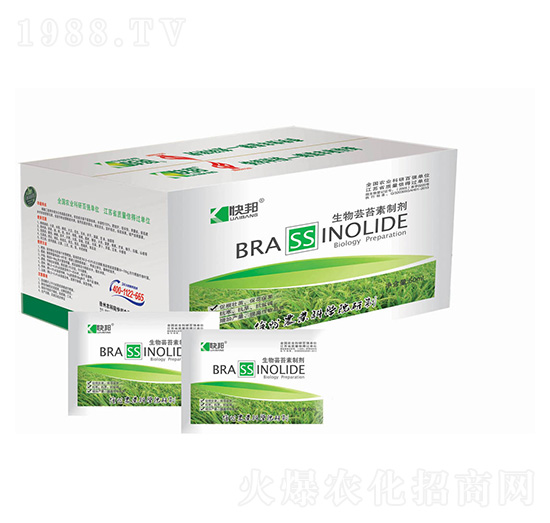 �����|̦���Ƅ�-�������