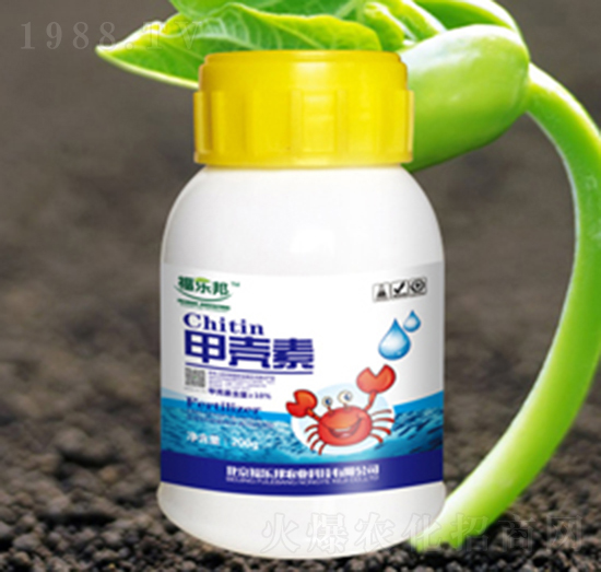 �ך���-������