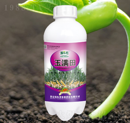 ��M��-����(l��)��