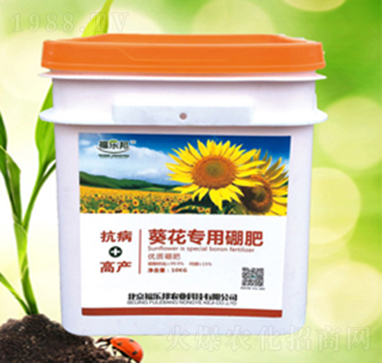 �����������-������