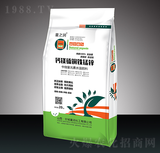 �}�V���~�F�i�\-�ǝ�����