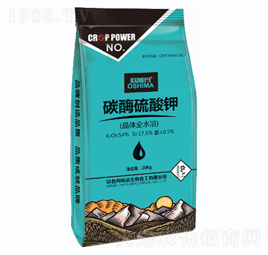 ̼ø�����-һ������