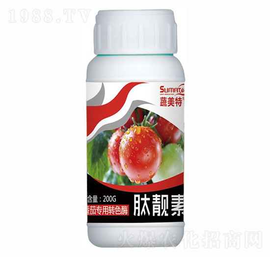 ���ь����Dɫø-���n��-������