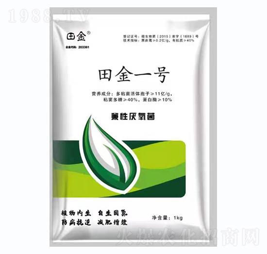 ���һ̖-���