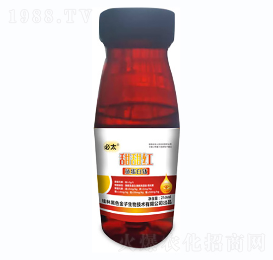 ����t-�~�����-��ɫ����