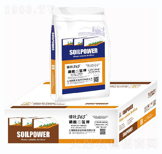 ��������-����365-�����r�I(y��)