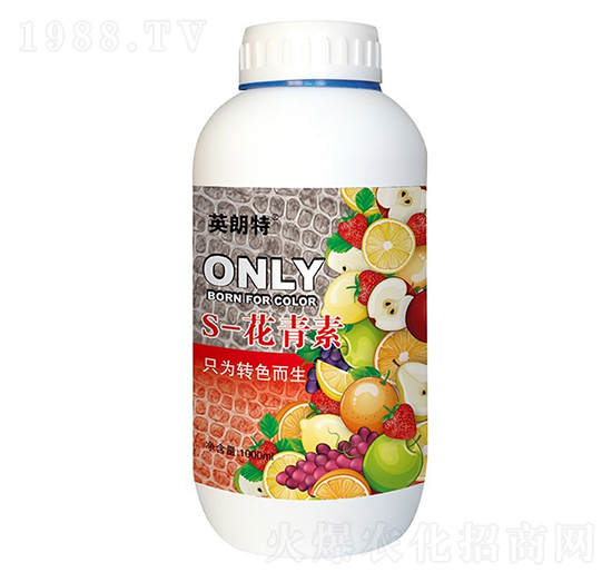 S-������-Ӣ����