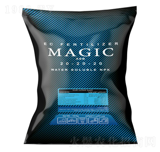 Magic-ASB-202020-�ָ���