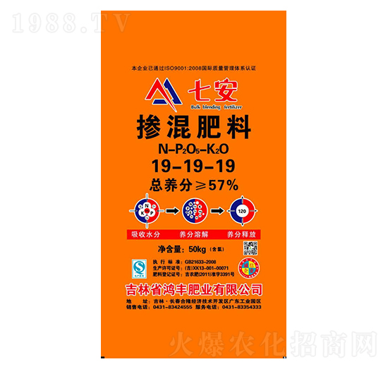 �������19-19-19-���S�ʘI(y��)