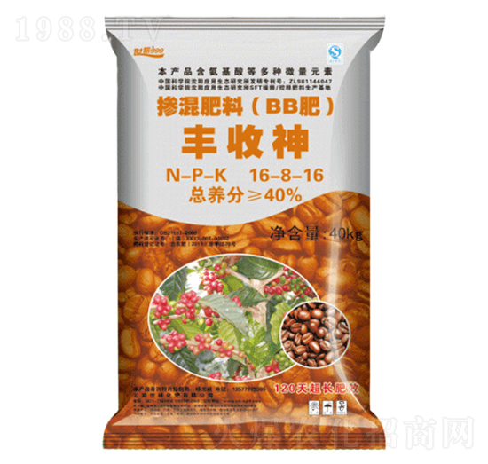 �������16-8-16-����