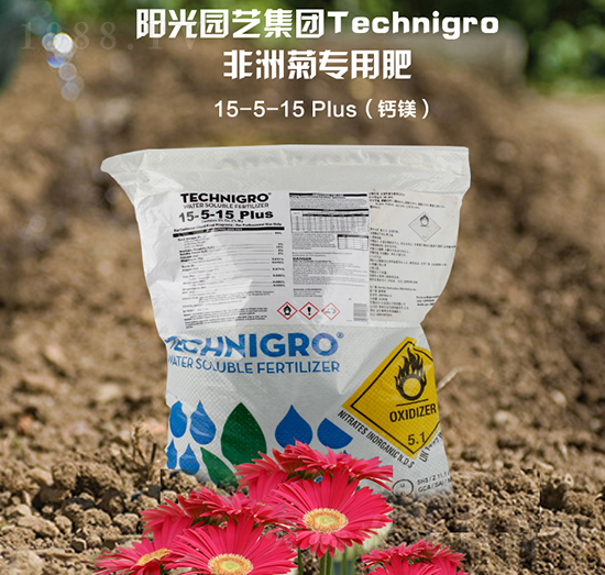 ���޾Ռ�(zhu��n)���}�V��5-5-15-�(y��ng)���ǻ�