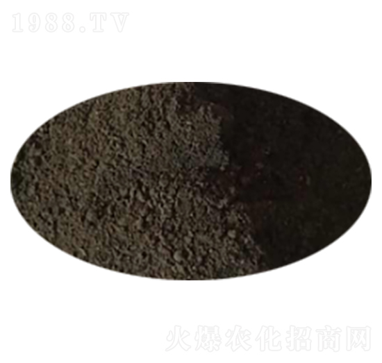 �u�S-���l(f��)����