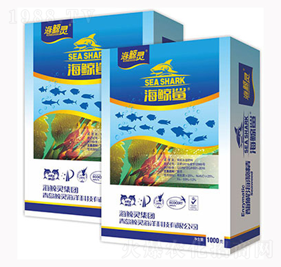 ���L�����徫-�L�`