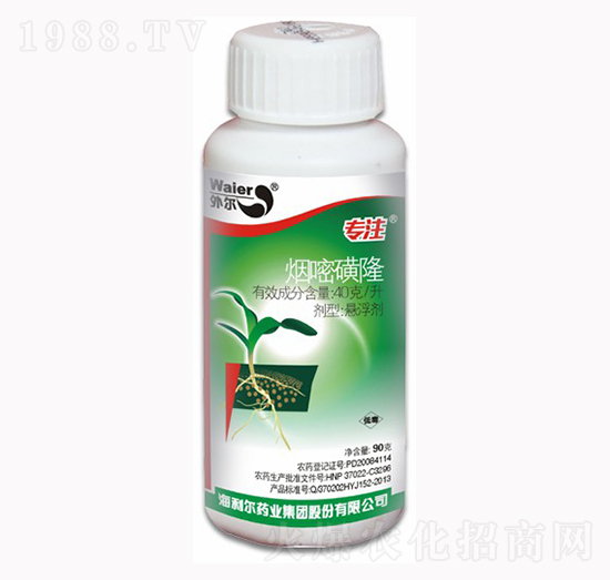 ���׻�¡-��(zhu��n)ע-������