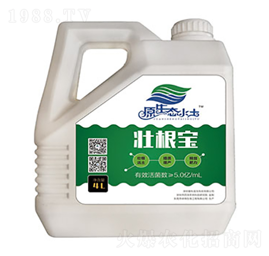 �Ѹ���-��(��i)������