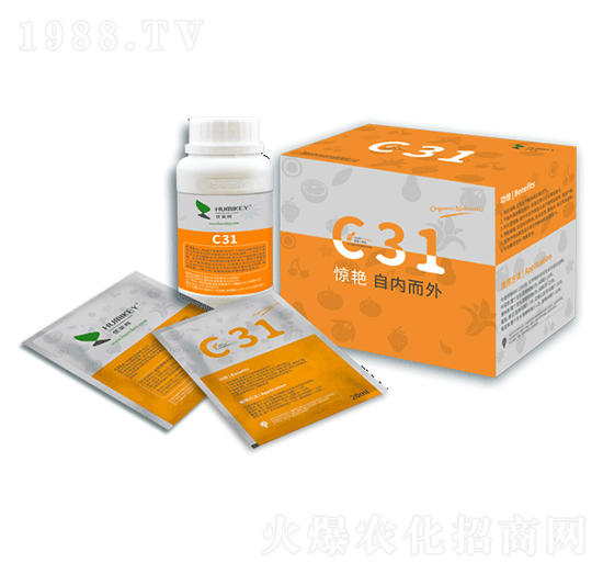 �Z(y��)��C31-��(y��u)����