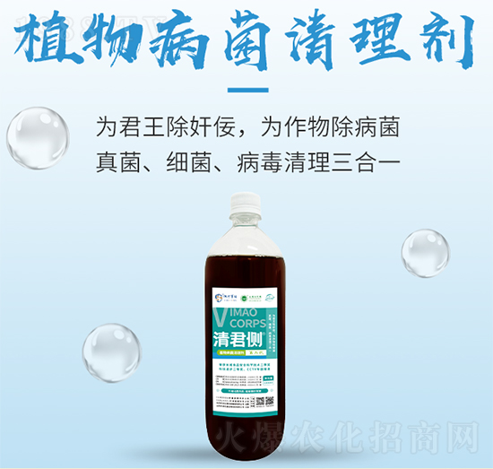 ֲ�ﲡ�����턩-�����(c��)-���S����