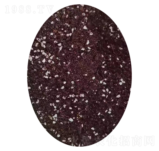 �����ЙC�ʣ��w����-�����r�I(y��)