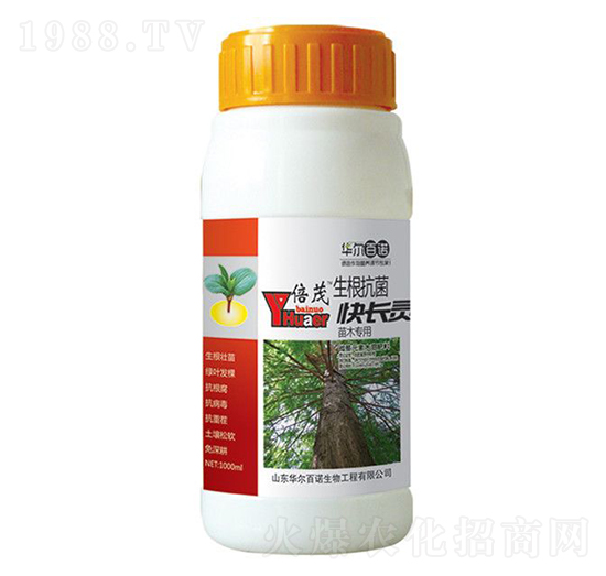 ��ľ��(zhu��n)�������������L(zh��ng)�`-�A�����Z