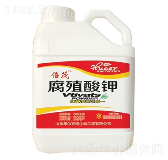 ��ֲ���-�A�����Z