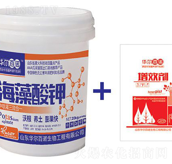 �������-�A�����Z